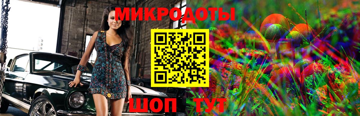Псилоцибиновые грибы прущие грибы Вязники